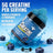 Topteng  Blueberry-flavored Creatine Monohydrate Gummies