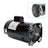 B2853 1HP 230/115V Single Speed Square Flange Pool Pump Motor