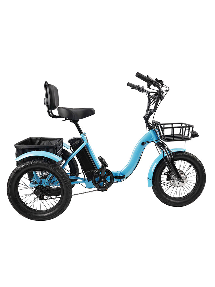 18*3.0 48V 13AH 350W (peak 525W) Electric Tricycle E-Trike with IPX7 Display