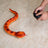 RC Anaconda Snake Remote Control Infrared Animal Prank Toy Gift For Children