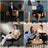 Multifunctional Transformable Meditation & Office Chair for Improved Posture