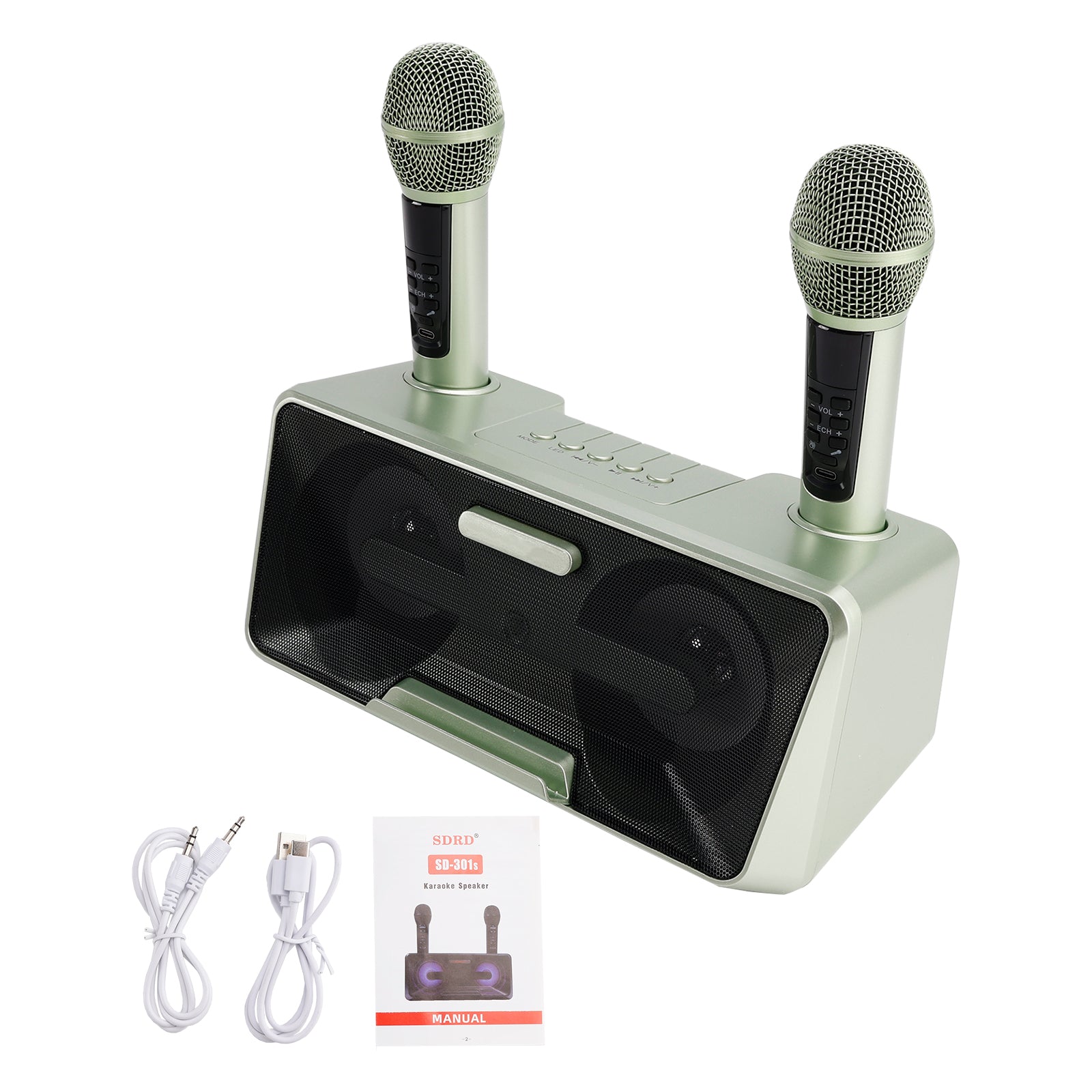Portable Karaoke Machine with 2 Wireless Microphones, 20W Bluetooth Speaker System for Kids & Adults, Home Party (Green)