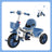 Boys Girls Toddler Trike Kids Tricycle with Push Handle (Copy)
