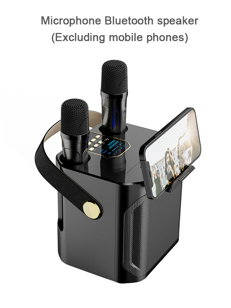 Wireless Bluetooth Speaker Dual Microphone Portable Karaoke Speaker Home Theater