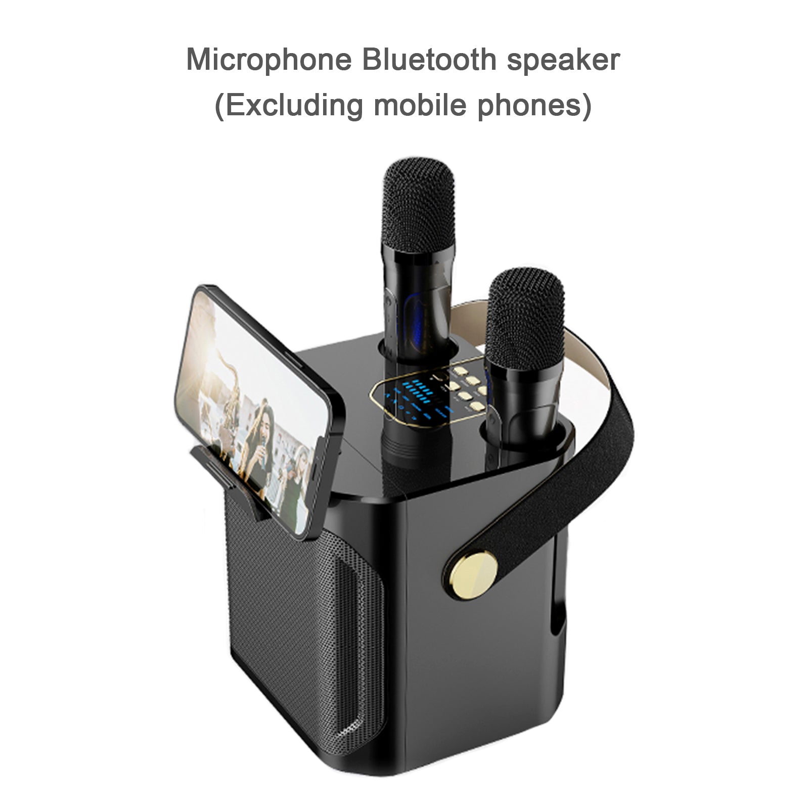 Wireless Bluetooth Speaker Dual Microphone Portable Karaoke Speaker Home Theater