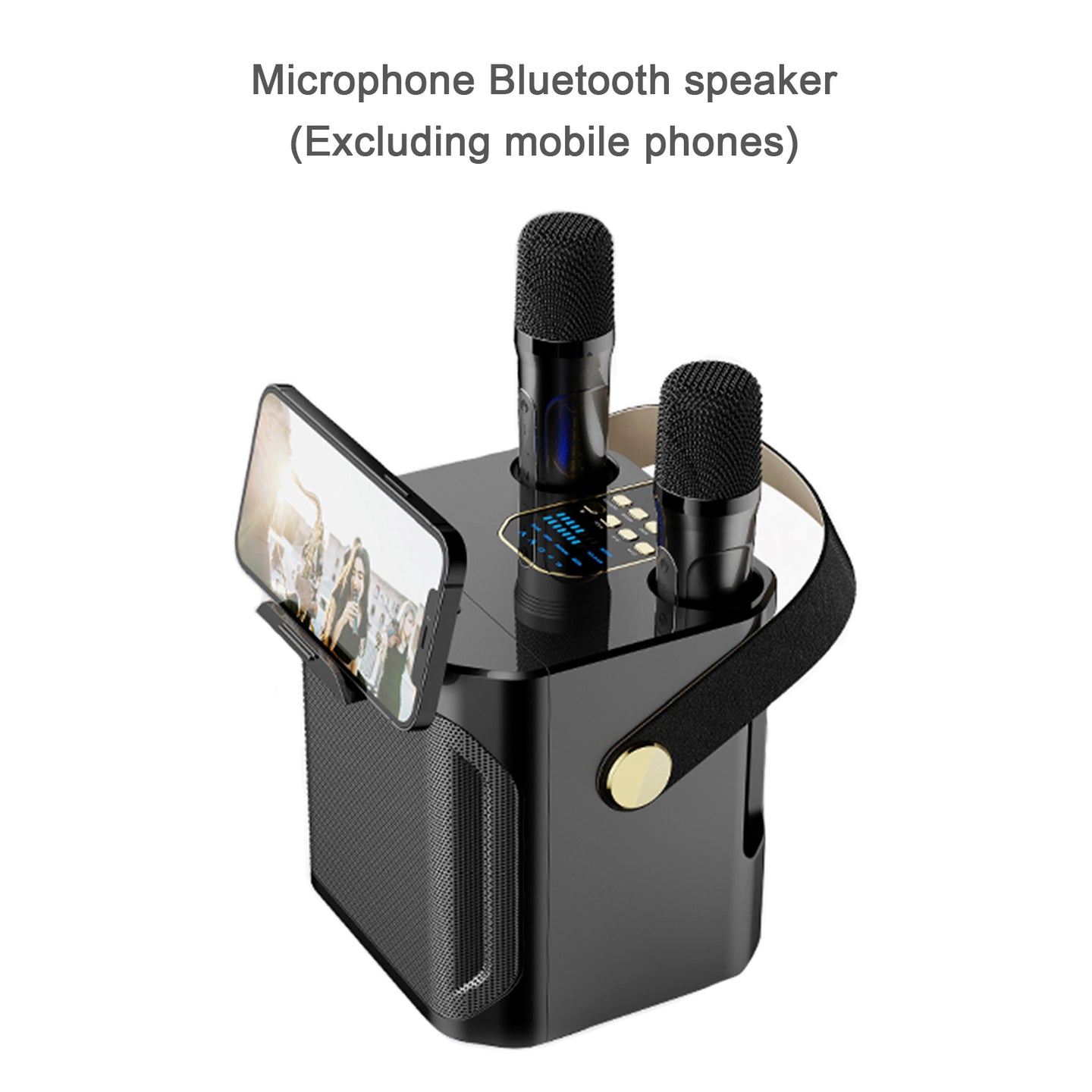Wireless Bluetooth Speaker Dual Microphone Portable Karaoke Speaker Home Theater
