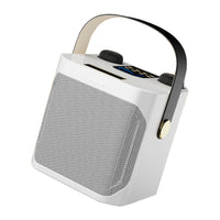Wireless Bluetooth Speaker Dual Microphone Portable Karaoke Speaker Home Theater