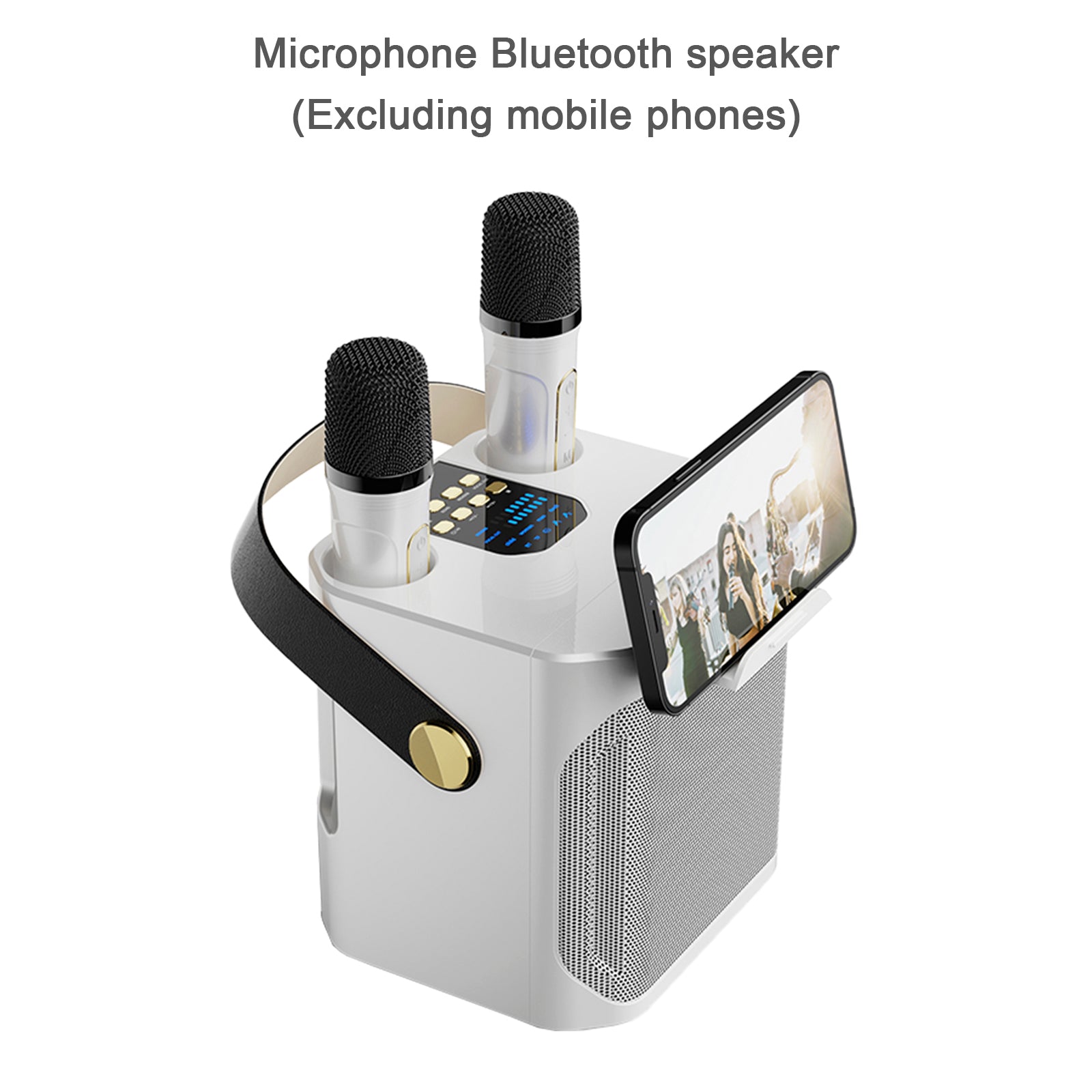 Wireless Bluetooth Speaker Dual Microphone Portable Karaoke Speaker Home Theater