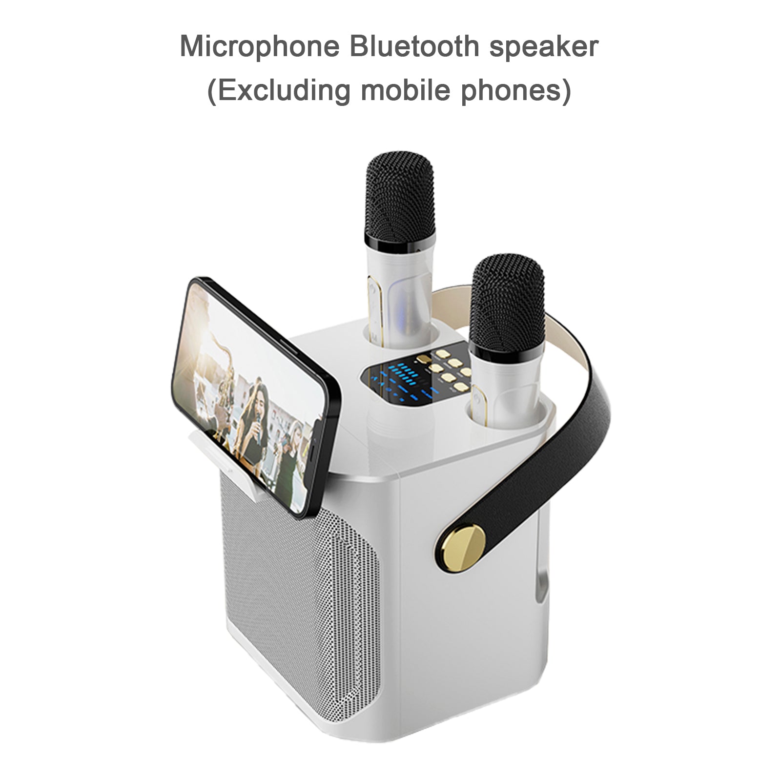 Wireless Bluetooth Speaker Dual Microphone Portable Karaoke Speaker Home Theater