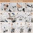 Hydraulic Patient Transfer Chair Bed with Commode for Elderly