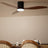 52" Smart Ceiling Fan with Light