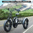 Black Electric Snow Trike with 500W Motor & Large Basket