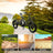 Black Electric Snow Trike with 500W Motor & Large Basket