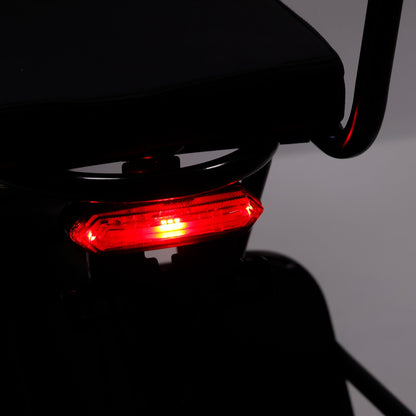 Black Foldable Electric Trike with 350W Motor & 70km Range (Copy)