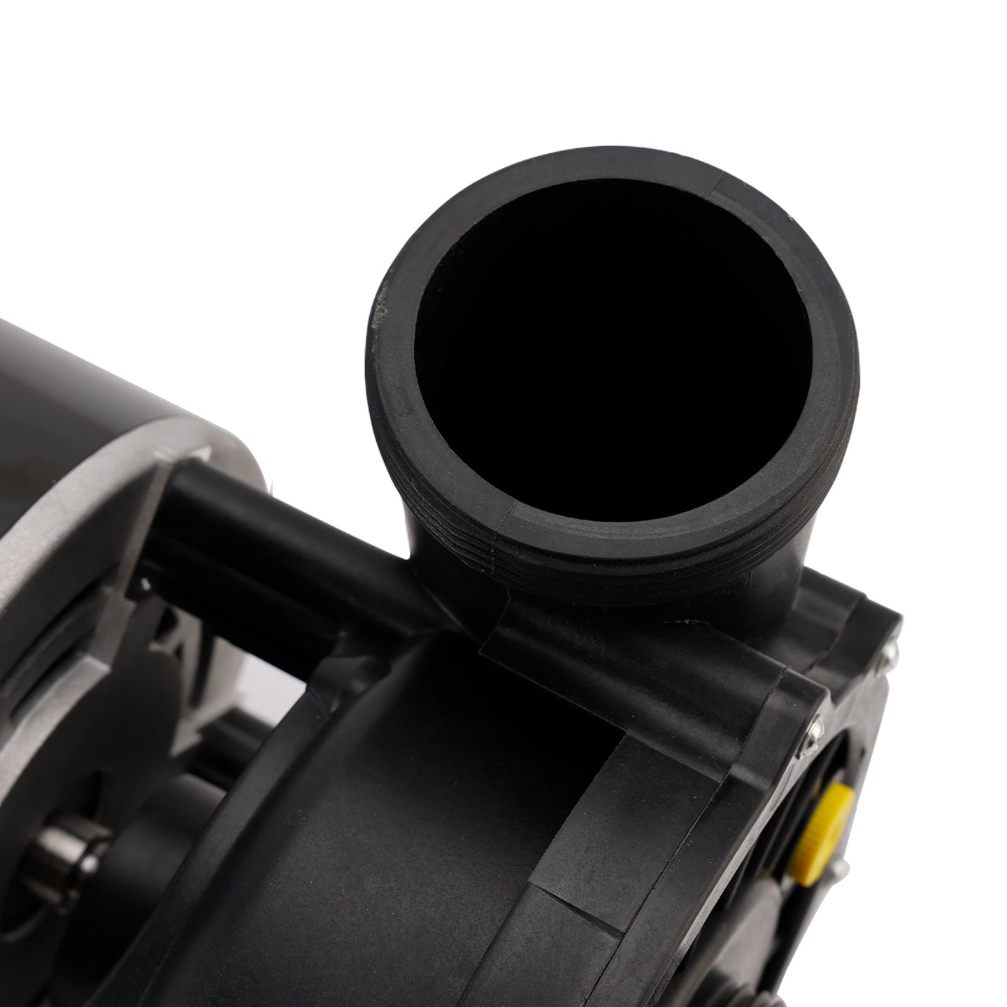 Quiet Energy-Efficient 2-Speed Spa Pump â€?56 Frame, 1-4 HP, 230V for Swimming Pools | 3721621-1D