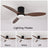 52inch 3 Blade Hugger Indoor Ceiling Fan with Lights Remote/App Control Dimmable LED  DC Motor