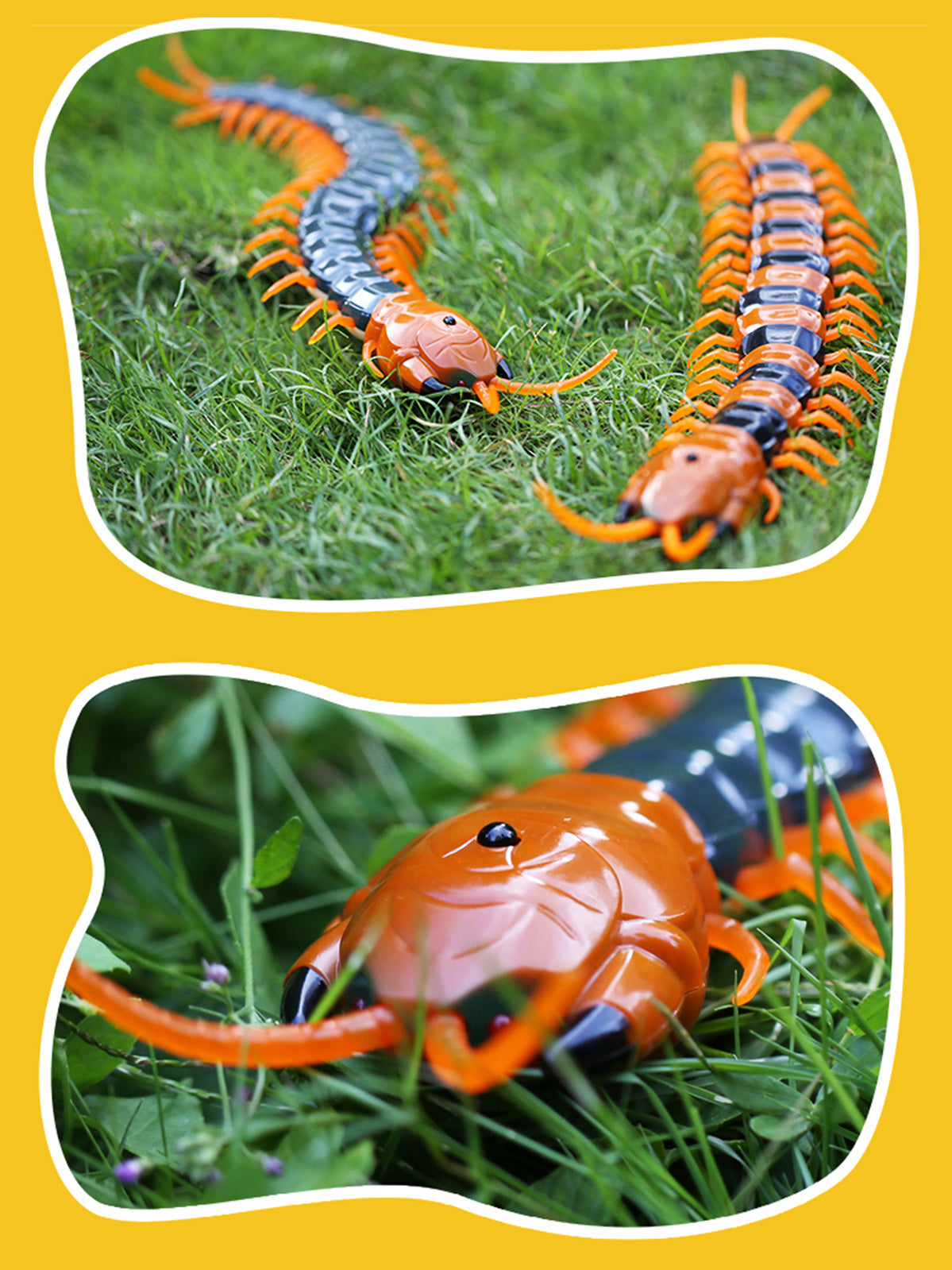 Remote Control Centipede Infrared Animal Electric Toy Kid Christmas Gift BLK US