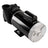 Quiet Energy-Efficient 2-Speed Spa Pump â€?56 Frame, 1-4 HP, 230V for Swimming Pools | 3721621-1D