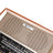 Retro-Style Decorative Radio Multifunction Music Player Bluetooth Speaker Radio