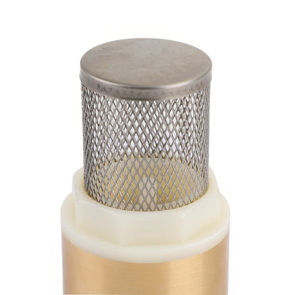 3/4" NPT Inline Check Foot Valve Brass Spring Loaded With Filter 200 PSI