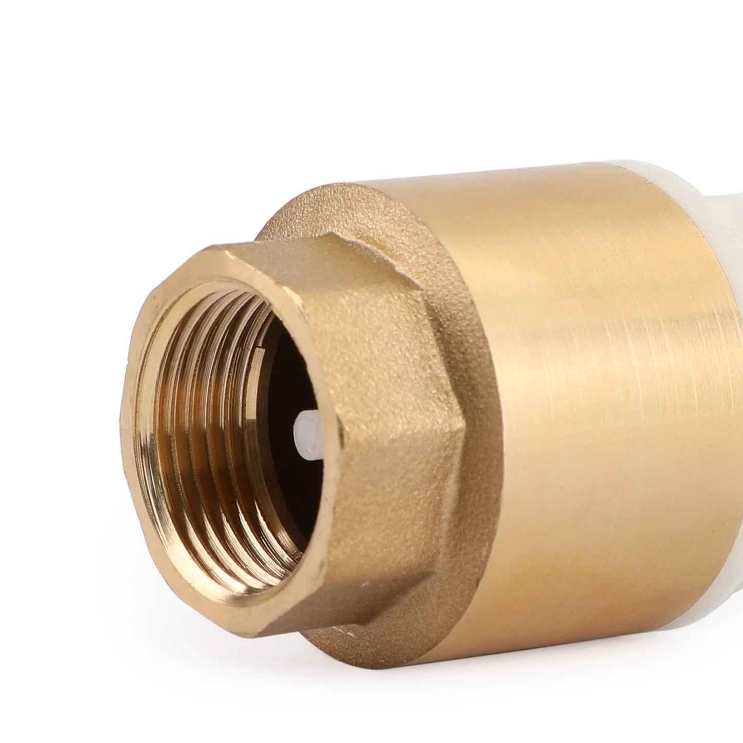 3/4" NPT Inline Check Foot Valve Brass Spring Loaded With Filter 200 PSI