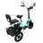 Cyan 350W Electric Trike with Foldable Design & 3 Speeds (Copy)
