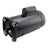 B2840 B840 2.5 HP Pool Pump Motor 230V Square Flange 56Y Frame – Replacement Swimming Pool Motor