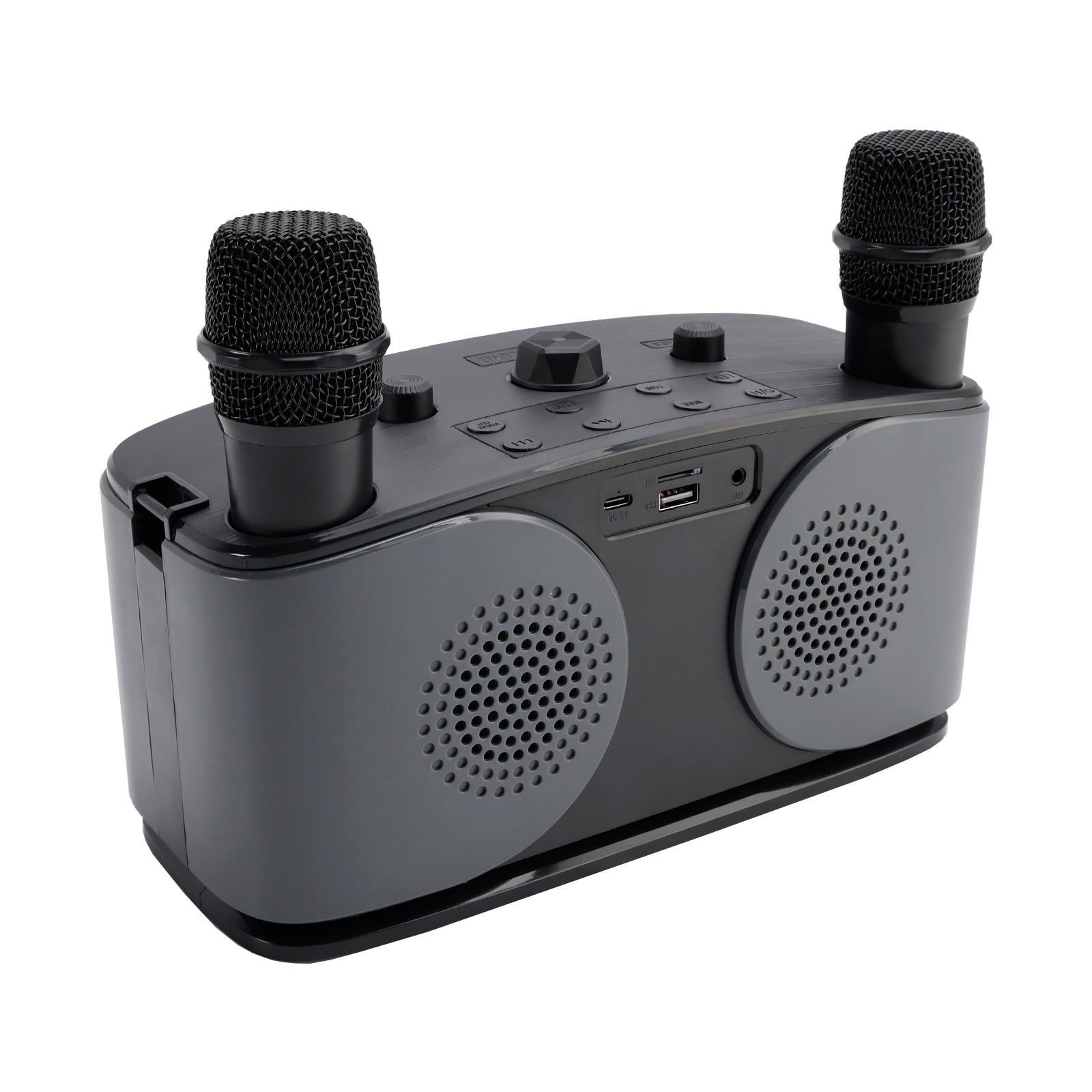 Karaoke Machine for Kids & Adults with 2 Microphones, Portable Bluetooth Speaker with Voice Changer & Echo for Parties