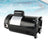 B2854 Pool Pump Motor, 1.5 HP, 56Y Frame, Square Flange Replacement for Pentair Whisperflo & Challenger Pumps, 115V/230V