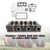 Complete Cylinder Head Kit for Kubota D902 Engine, Fits RTV900 & ZD323, with Gaskets & Valve Springs, Replaces 1G962-03045