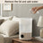 Humidifiers for Bedroom  4L Cool Mist Humidifier for Home Plant and Baby Nursery
