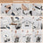 4-in-1 Lift Wheelchair, Waterproof, Shower/Toilet/Transfer, 150 kg Capacity