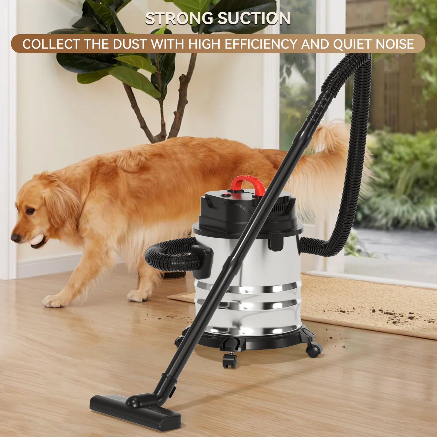 5 Gallon Stainless Steel Wet/Dry Shop Vacuum Cleaner 1800W with Powerful Suction & Large Capacity for Home & Commercial Use