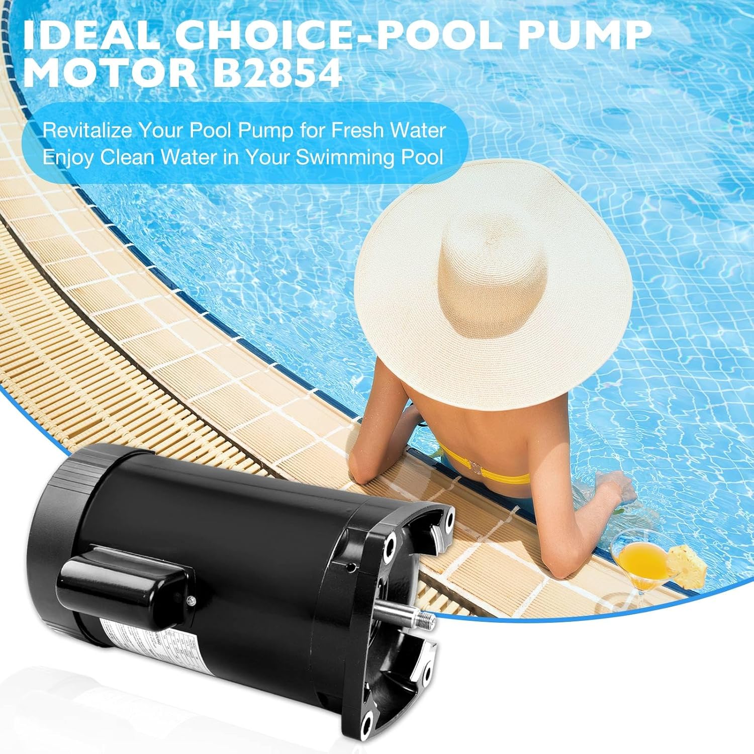 Pool Motor Replacement 1.5 HP Dual Voltage Pool Pump Motor 115/230V