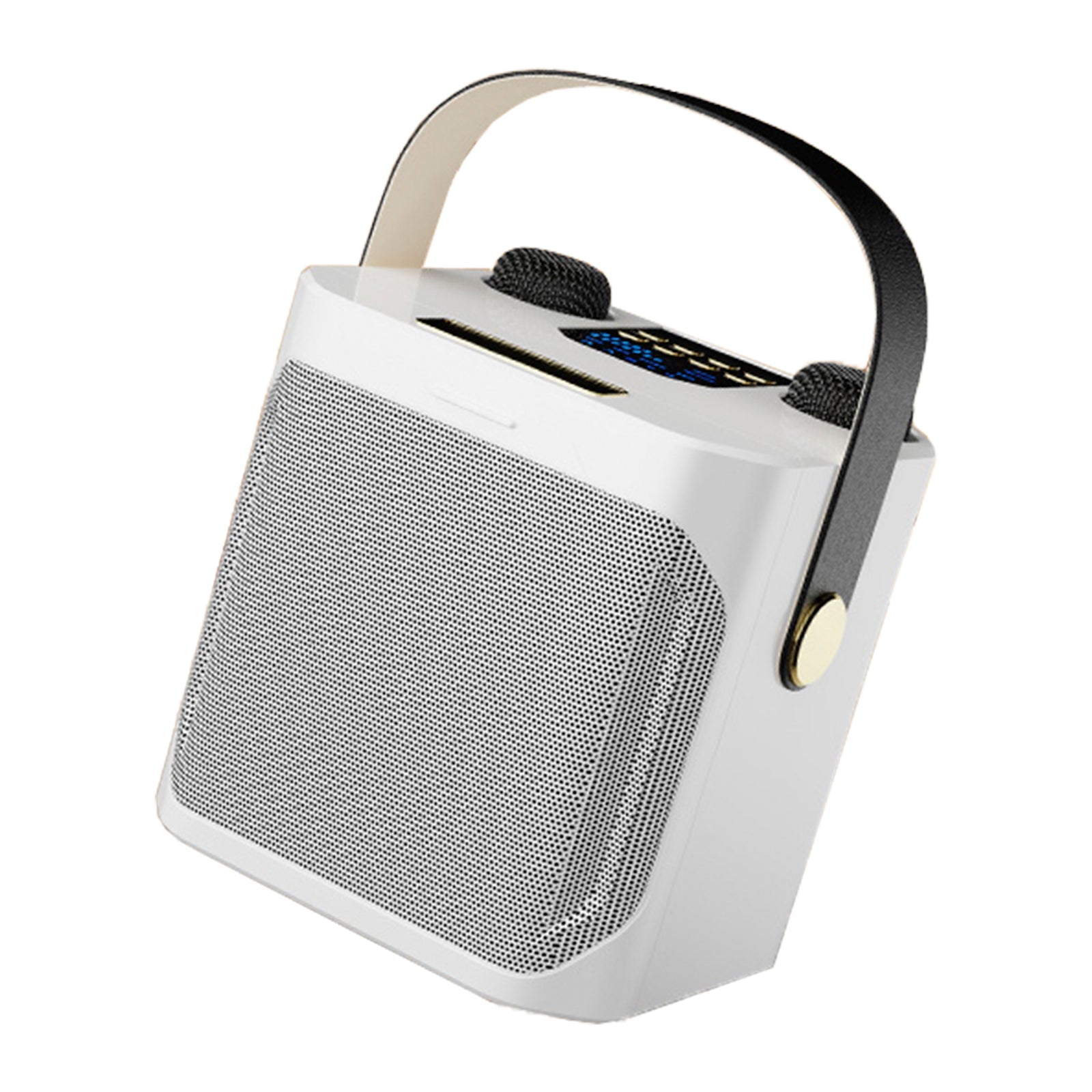 Wireless Bluetooth Speaker Dual Microphone Portable Karaoke Speaker Home Theater