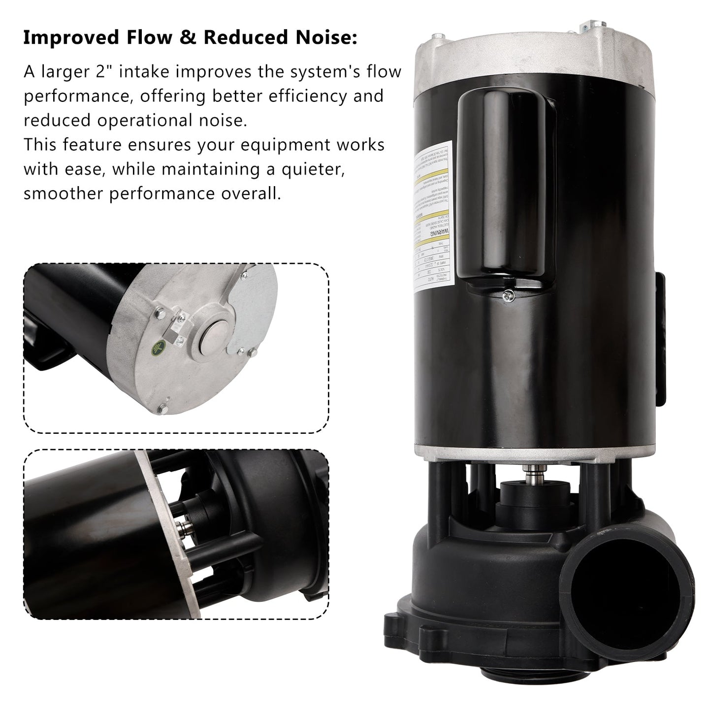 Quiet Energy-Efficient 2-Speed Spa Pump â€?56 Frame, 1-4 HP, 230V for Swimming Pools | 3721621-1D
