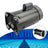 B2854 B2854V1 Pool Motor 1.5 HP Pool Pump Motor 115/230V Pool Motor