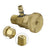 Fuel Bleeder Valve 6598102 Compatible With Bobcat 753 773 S175 S185 T180 T190
