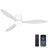 52-Inch Modern Ceiling Fan with Light – Remote & App Control, 6-Speed Reversible DC Motor