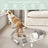 7 In 1 Pet Grooming Kit Vacuum Suction Professional Pet Hair Clipper 1.5L Grooming Tools for Dogs Cats PetsDog Vacuum Brush for Shedding Grooming