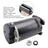 B2840 B840 2.5 HP Pool Pump Motor 230V Square Flange 56Y Frame – Replacement Swimming Pool Motor