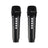 Karaoke Machine for Kids & Adults with 2 Microphones, Portable Bluetooth Speaker with Voice Changer & Echo for Parties