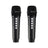 Wireless Bluetooth Speaker – All-in-One Home Theater & Karaoke System with Dual Microphones