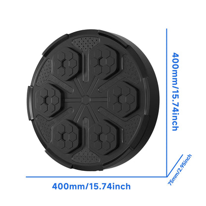 Wall Mount Boxing Target Bluetooth Music Indoor React Machine