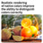 D02 RGB Fill Light Video Camera Mobile Phone Live Beauty Outdoor Led Fill Light