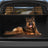 Adjustable Dog Barrier for SUV & Car Cargo Area, No-Drill Headrest Mount Pet Divider Fence