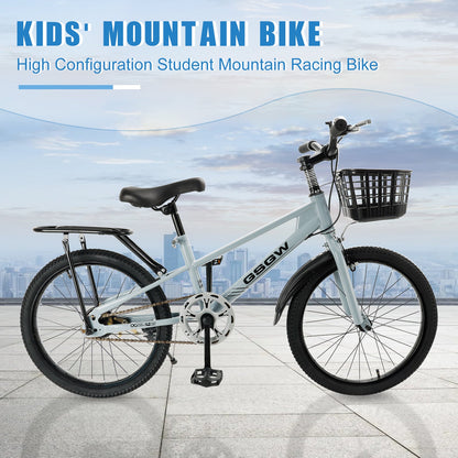 20 inch Teenager Children's Kid Bike w/ Basket Boys Girls (Copy)