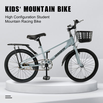 20 inch Teenager Children's Kid Bike w/ Basket Boys Girls (Copy)