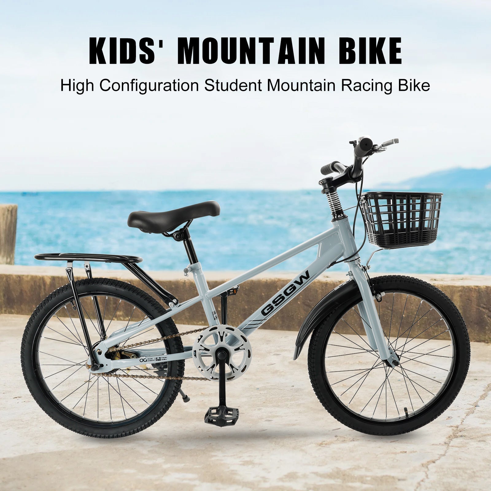 20 inch Teenager Children's Kid Bike w/ Basket Boys Girls (Copy)