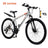 26 inch 27 Speed Disc Brake MTB Adult w/ Cup Holder Fender Silver (Copy)